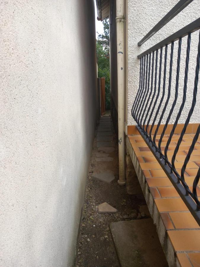 Petite Maison Cosy Dans Un Jardin. 埃尔蒙 外观 照片